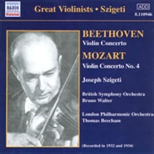 Beethoven/Mozart - Violin Concertos (CD)