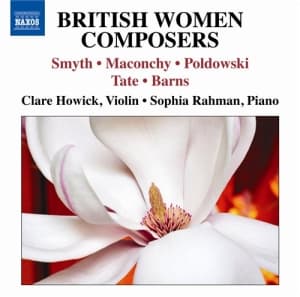 Various Composers - Works For Violin & Piano (CD)
