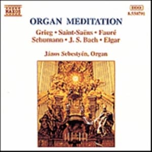 Blandade Artister - Organ Meditation