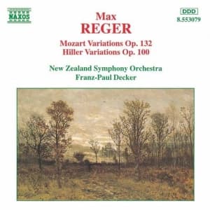 Reger Max - Variation And Fuguss Opp 100 & (CD)