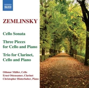 Zemlinsky - Chamber Music (CD)
