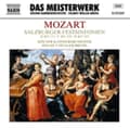 Miniatyrbillede 1 af 2: Mozart Wolfgang Amadeus - Salzburger (CD)