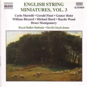 Various - Eng String Miniatures 3 (CD)