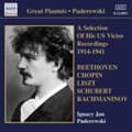 Pikkukuva 1 / 2: Paderewski - A Selection Of His Victor Recording (CD)