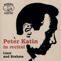 Miniatyrbillede 1 af 2: Liszt/Brahms - Sonate H-Moll/Sonetto/Variatio (CD)