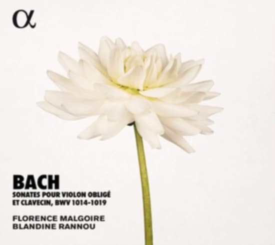Bach J S - Sonatas For Violin And Harpsichord, (CD)