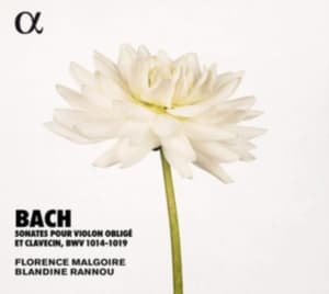 Bach J S - Sonatas For Violin And Harpsichord, (CD)