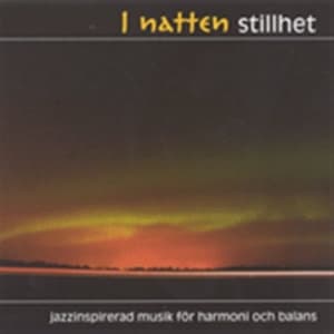 Various - I Natten Stillhet - 1Cd (CD)