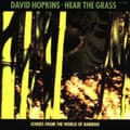 Miniatyrbild 1 av 2: Hopkins David - Hear The Grass (CD)