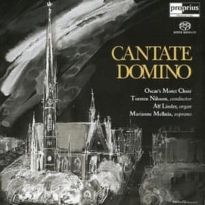 Blandade Artister - Cantate Domino