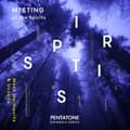 Pikkukuva 1 / 2: Various - Meeting Of The Spirits