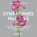 Miniatyrbillede 1 af 2: Beethoven Ludwig - Symphonies Nos. 2 & 5
