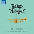 Miniatyrbilde 1 av 2: Various - Terrific Trumpet: Best Loved Classi (CD)