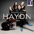 Miniatyrbillede 1 af 2: Haydn Franz Joseph - String Quartets, Op. 20, Volume 1, (CD)