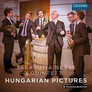 Blandade Artister - Hungarian Pictures