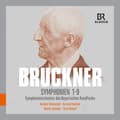 Pikkukuva 2 / 2: Bruckner Anton - Symphonies Nos. 1-9 (9 Cd) (CD)