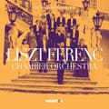 Miniatyrbild 2 av 2: Various - The Masters Collection: Liszt Feren (CD)