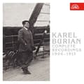 Miniatyrbillede 1 af 2: Various - Complete Recordings 1906-1913 (3Cd) (CD)