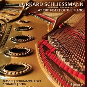 Alban Berg Ferruccio Busoni Franz - At The Heart Of The Piano (3Cd) (CD)