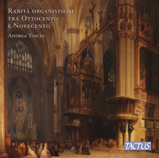 Domenico Bellando Alessandro De Bo - Rare 19Th & 20Th Century Organ Piec (CD)