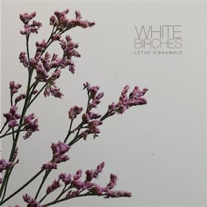 White Birches - Lethe's Bramble (CD)