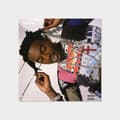 Miniatyrbilde 1 av 2: Playboi Carti - Playboi Carti (CD)
