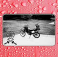 Pikkukuva 2 / 2: Bass Drum Of Death - Say I Won't (CD)