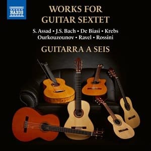 Various - Works For Guitar Sextet (CD)