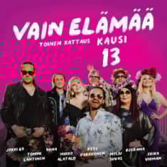 Vain Elämää - Vain Elämää - Kausi 13 Toinen (CD)