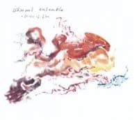 Ishmael Ensemble - A State Of Flow (CD)