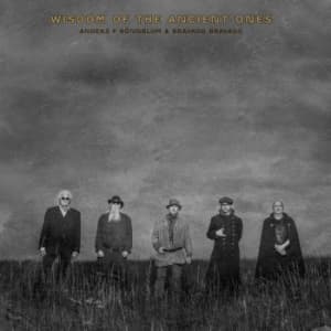 Anders F Rönnblom & Bravado Bravado - Wisdom Of The Ancient Ones (CD)