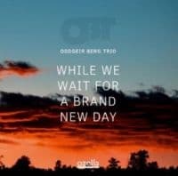 Berg Oddgeir (Trio) - While We Wait For A Brand New Day (CD)