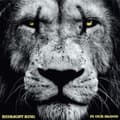 Pikkukuva 1 / 2: Redlight King - In Our Blood (Digipack) (CD)