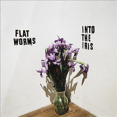 Flat Worms : Into the Iris CD EP (2019) Brand New