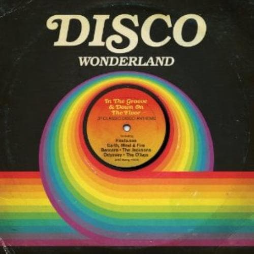 Various Artists : Disco Wonderland CD 2 discs (2013) Pre Owned