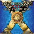 Miniatyrbillede 1 af 2: Whitesnake - Still... Good To Be Bad (CD)