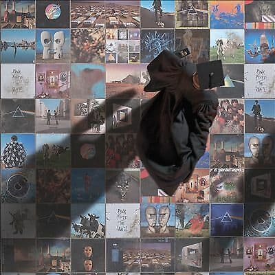 Pink Floyd : A Foot in the Door: The Best of Pink Floyd CD (2011) Pre Owned