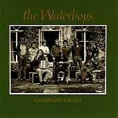 The Waterboys : Fisherman's Blues CD (1990) Pre Owned