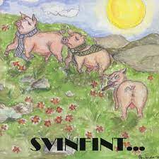 Svinfint ...Punksaml -95 - Räserbajs-Gymnastiken Mfl (CD)
