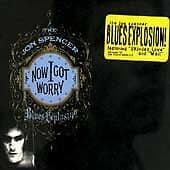The Jon Spencer Blues Explosion : Now I Got Worry CD (1996) Pre Owned