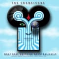 Miniatyrbilde 1 av 2: Chameleons The - What Does Anything Mean? Basically (CD)