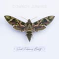 Miniatyrbillede 2 af 2: Cowboy Junkies - Such Ferocious Beauty (CD)