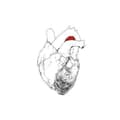 Miniatyrbillede 1 af 2: Swans - The Beggar (CD)