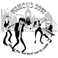 Diamond Dogs - About The Hardest Nut To Crack (CD)
