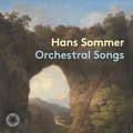 Miniatyrbild 1 av 2: Sommer Hans - Orchestral Songs