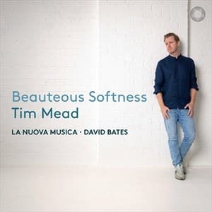 Various - Beauteous Softness (CD)