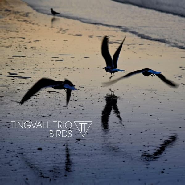 Tingvall Trio: Birds (CD)
