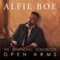 Pikkukuva 1 / 2: Alfie Boe - Open Arms - The Symphonic Songbook (CD)