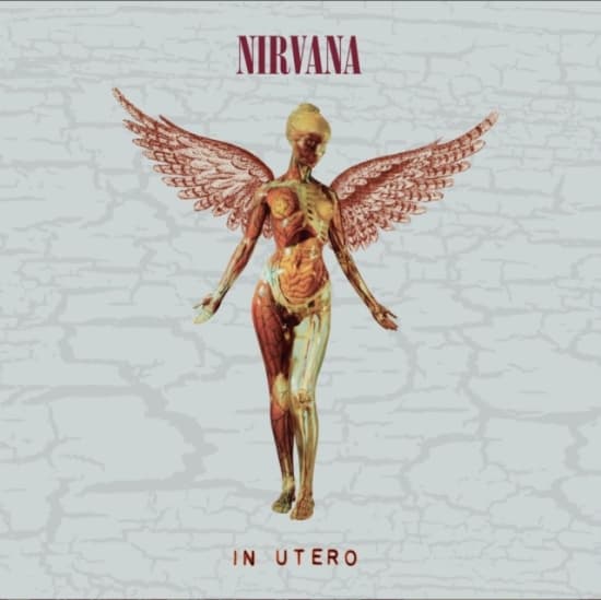 Nirvana - In Utero (2Cd Deluxe) (CD)
