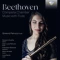 Miniatyrbilde 1 av 2: Beethoven Ludwig Van - Complete Chamber Music With Flute ( (CD)